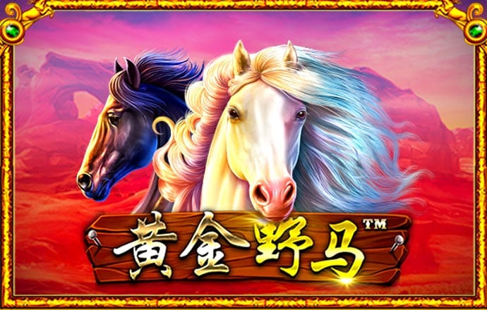 澳门正版资料免费大全版门